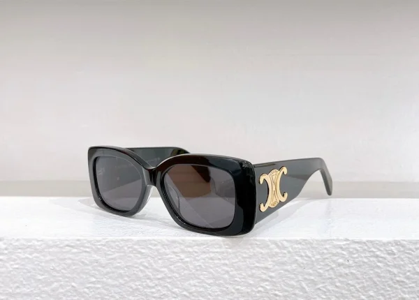 C??line 2024 TRIOMPHE XL 01 SunglassesN  Acetateomen's Sunglasses